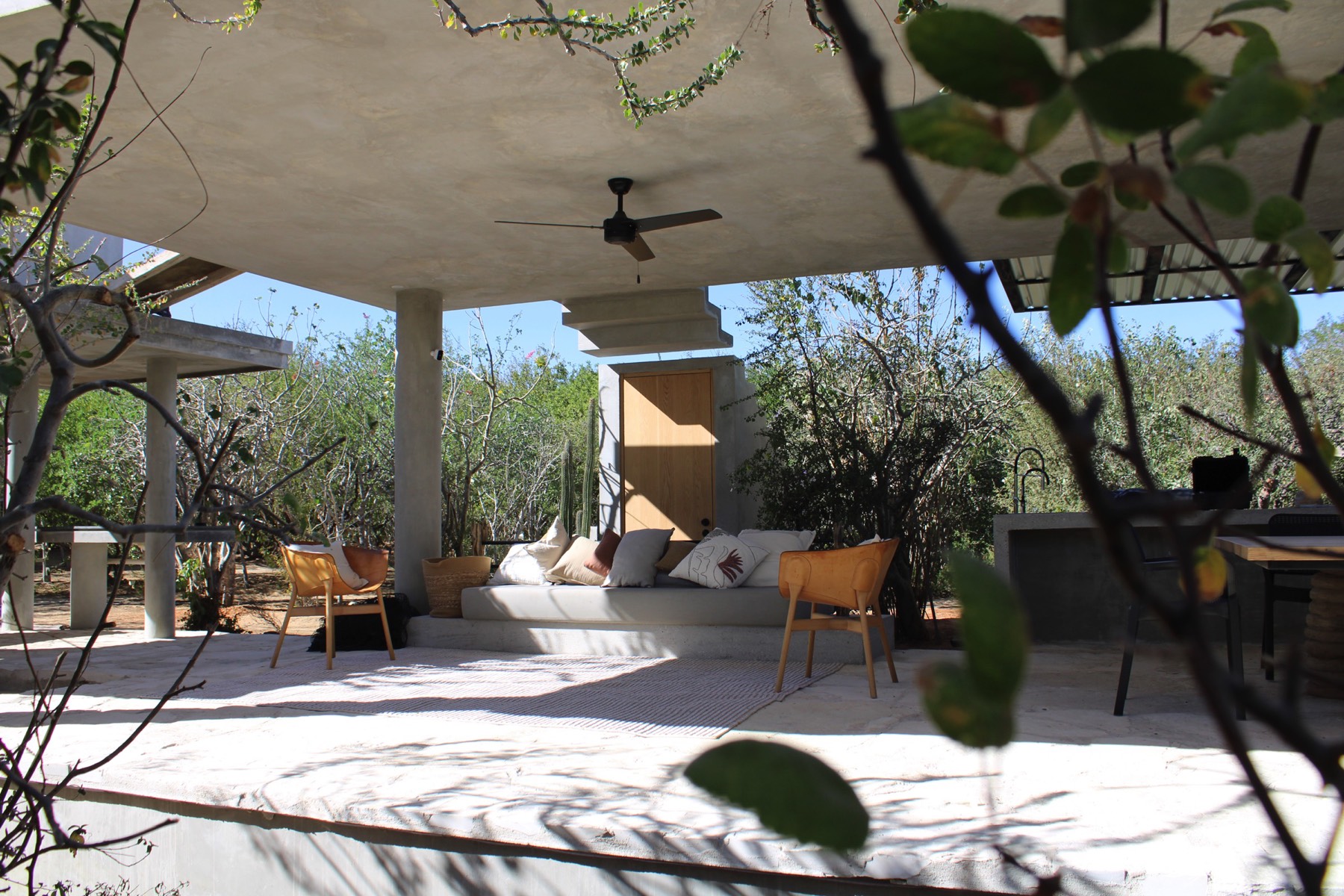 La Damiana: Casa Club